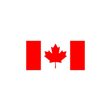 Ca RDP - Cloud RDP - Toronto ( Canada )