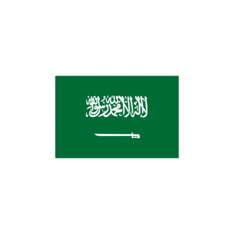 Saudi Arabia RDP - Cloud RDP - Riyadh ( Saudi Arabia )