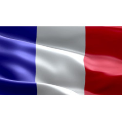 ( 30 DAYS  ) France Unlimited Smtp Server - Spf, Dkim, Dmarc Configured ( New Domain - Private & IP Clear )