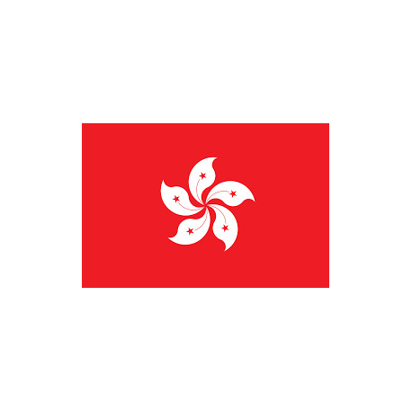 Hong Kong ( 30 Days ) 2G Ram Admin RDP Port 25 Open - New & Fresh IP Clear