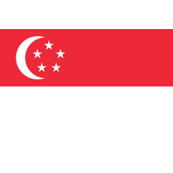 Singapore ( 30 Days ) 4G Ram Admin RDP Port 25 Open - New & Fresh IP Clear