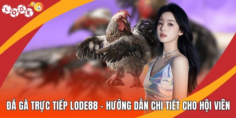 Đá Gà Trực Tiếp