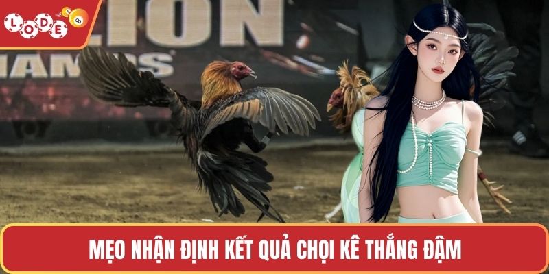 Mẹo nhận định kết quả chọi kê thắng đậm